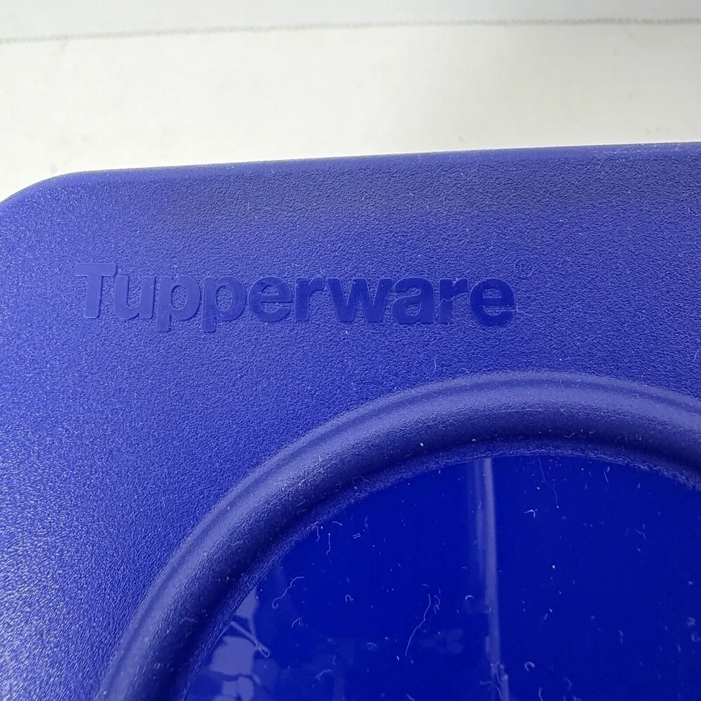 Tupperware Fresh N Cool Refrigerator Food Container‎ 22 Cup 5.2 L Large Blue F4